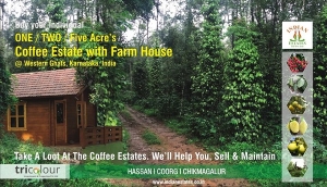 Coffee Estate and Farm House for Sale